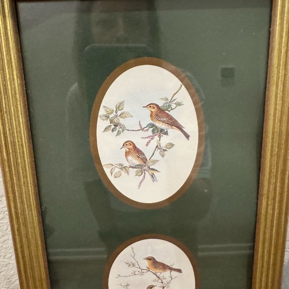 Unbranded Bird Prints Wall Decor with Beautiful Framed&Glass - Picture 2 of 9